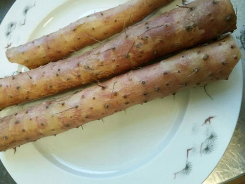 对男人好的食物
