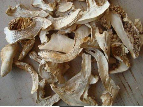 松茸干片怎么做好吃 松茸干片做法