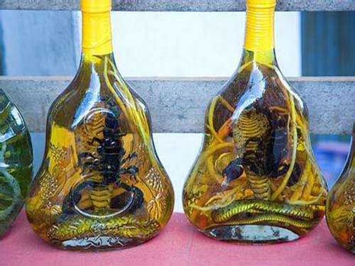 蝎子泡酒的功效与作用
