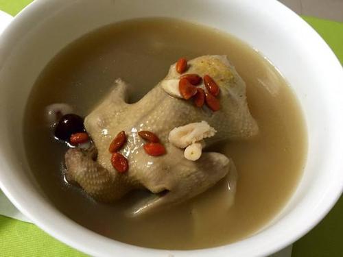 乳鸽的功???