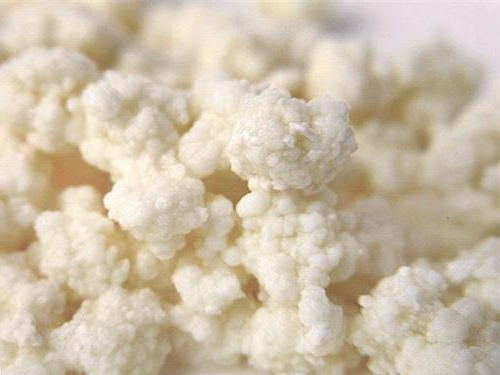 雪莲菌的功效