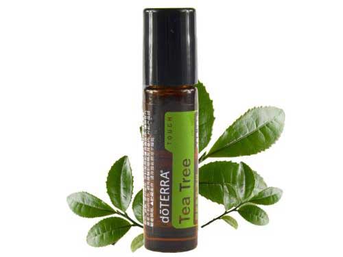 茶树精油的功效与用法