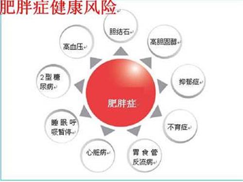肥胖的坏???
