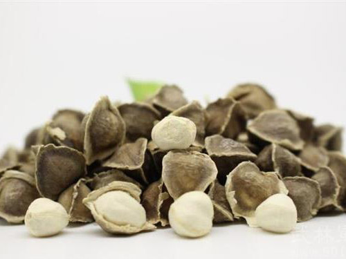 辣木籽功效和食用方法