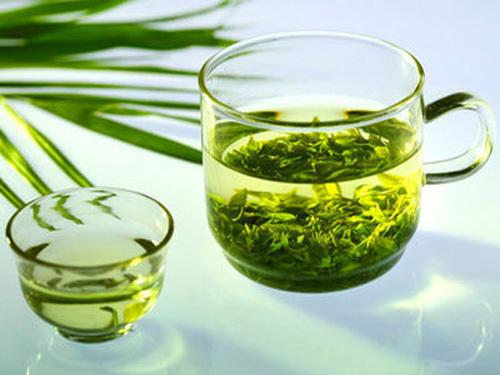 金丝皇菊功效