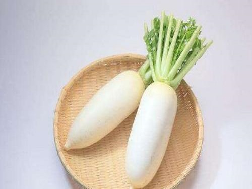 吃白萝卜可以减肥???