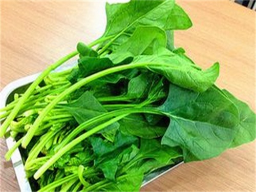 多吃菠菜的好处和坏处