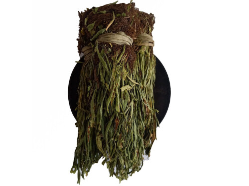 还阳草的功效与作用