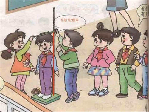 小孩发育期吃什么能长高