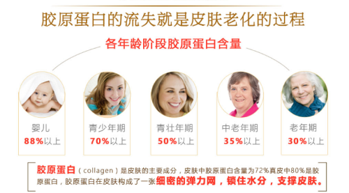 仙格丽小分子胶原蛋白肽，发挥强大美肤效能