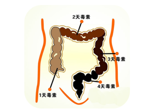 还在吃酵素药丸？那你要试试这款维萃美苹果干细胞固体饮品！