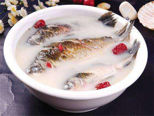 蝎子乌龟汤的功效与作用