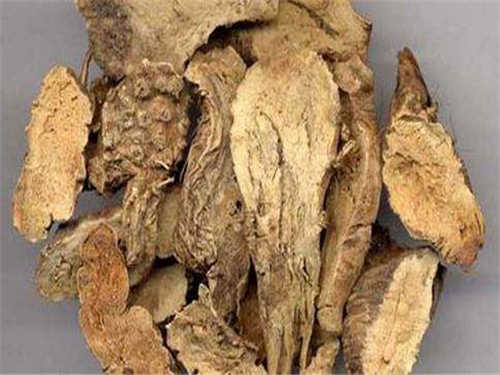 山枝根的功效与作用