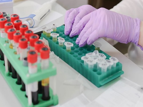 laboratory-3827739_960_720.jpg