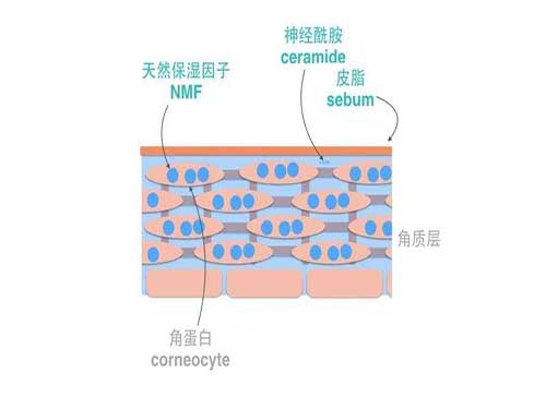 乘风破浪的姐姐钟丽缇力荐仙格丽定格液，锁住青春一秒定? ?