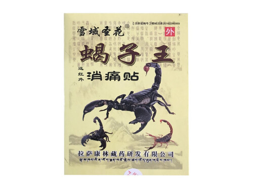 蝎子王消痛贴哪里有卖的 蝎子王消痛贴的说明书