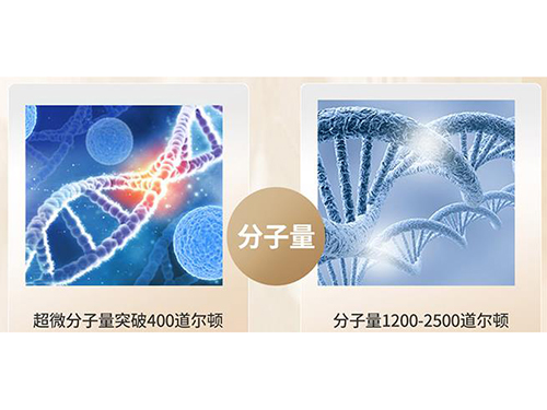 抗衰榜单！仙格丽低分子鱼胶原蛋白六大优势全看懂